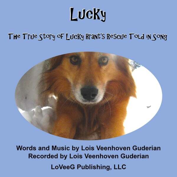 Cover art for Lucky